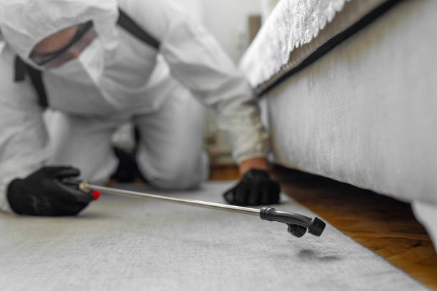 Professional Pest Control technician working in Rosebud County County, MT